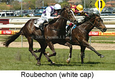 Roubechon (16193 bytes)