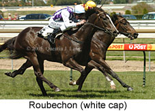 Roubechon (16193 bytes)