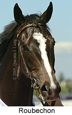 Roubechon (16193 bytes)