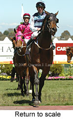 Return to scale (16492 bytes)