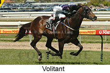 Volitant (16193 bytes)