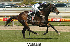 Volitant (16193 bytes)