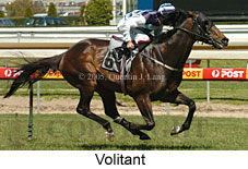 Volitant (16193 bytes)