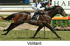 Volitant (16193 bytes)