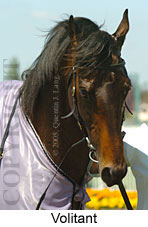 Volitant (16193 bytes)