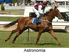 Astronomia (16193 bytes)