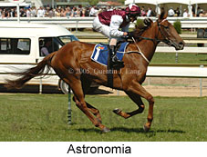 Astronomia (16193 bytes)