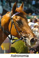 Astronomia (16193 bytes)