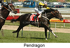 Pendragon (16193 bytes)