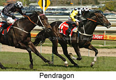 Pendragon (16193 bytes)