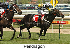 Pendragon (16193 bytes)