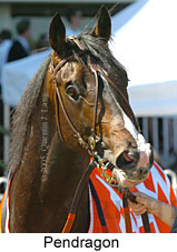 Pendragon (16193 bytes)