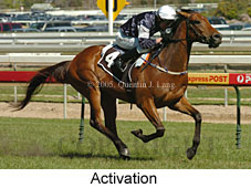 Activation (16193 bytes)