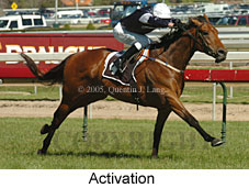 Activation (16193 bytes)