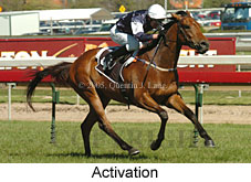 Activation (16193 bytes)