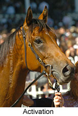 Activation (16193 bytes)