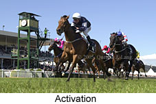 Activation (16193 bytes)