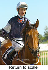 Return to scale (16492 bytes)