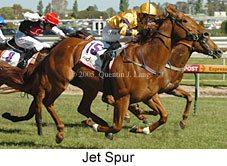 Jet Spur (16193 bytes)