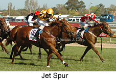 Jet Spur (16193 bytes)