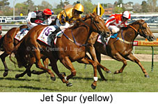 Jet Spur (16193 bytes)