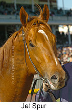 Jet Spur (16193 bytes)