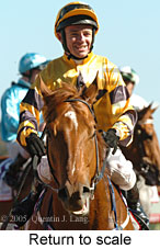 Return to scale (16492 bytes)