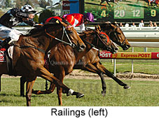 Railings (16193 bytes)