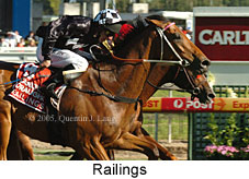 Railings (16193 bytes)