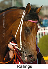 Railings (16193 bytes)