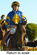 Return to scale (16492 bytes)