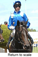 Return to scale (16103 bytes)