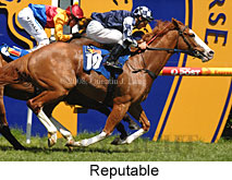 Reputable (16564 bytes)