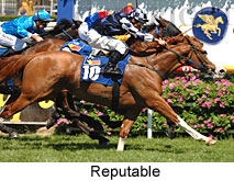 Reputable (16564 bytes)