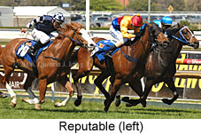 Reputable (16564 bytes)