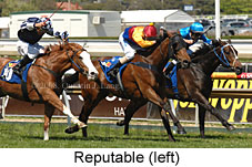 Reputable (16564 bytes)