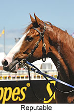 Reputable (16564 bytes)