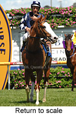 Return to scale (16103 bytes)