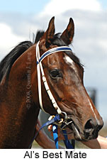 Al's Best Mate (16564 bytes)