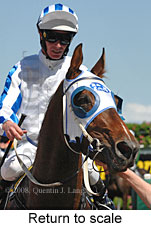 Return to scale (16103 bytes)