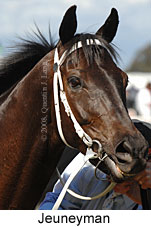 Jeuneyman (16564 bytes)