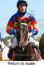 Return to scale (16103 bytes)