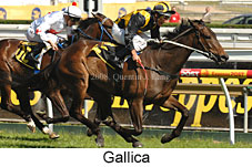 Gallica (15397 bytes)