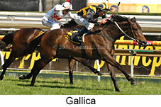 Gallica (16564 bytes)