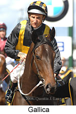 Gallica (16564 bytes)