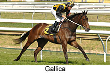 Gallica (16564 bytes)