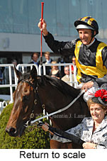 Return to scale (16103 bytes)