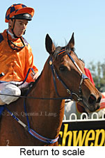 Return to scale (16103 bytes)