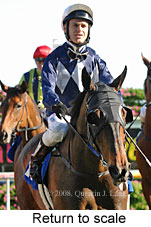 Return to scale (16103 bytes)