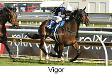 Vigor (16564 bytes)
